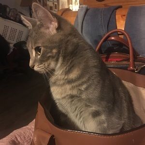 Meet your Posher, Shari